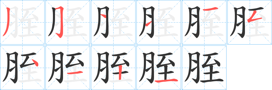 胵的笔顺写法