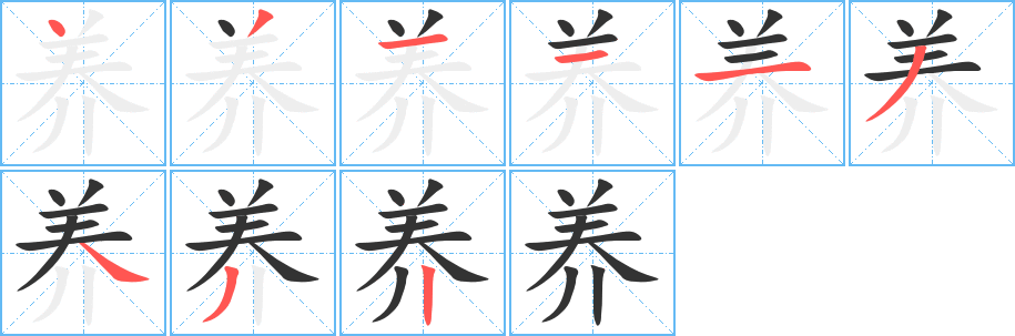 养的笔顺写法