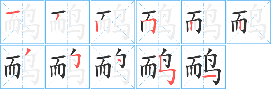鸸的笔顺写法