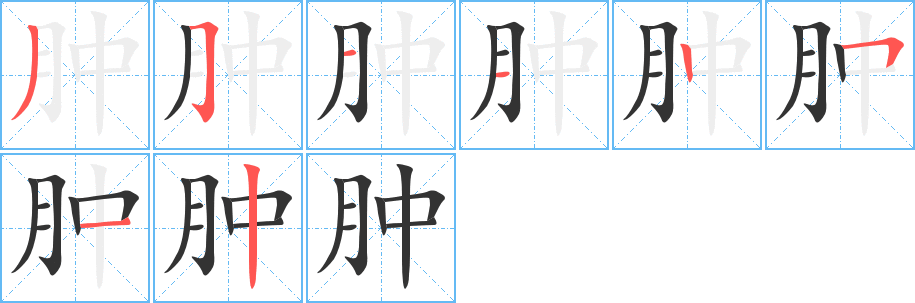 肿的笔顺写法