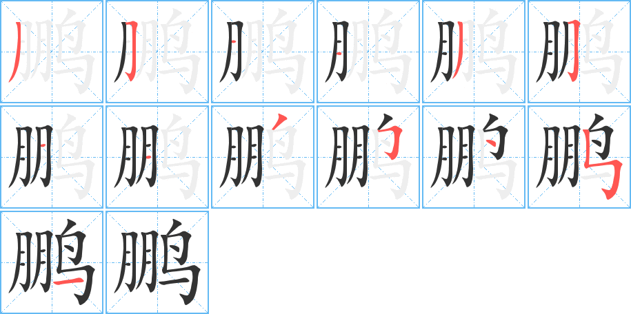 鹏的笔顺写法