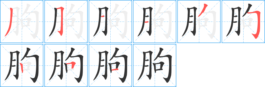 朐的笔顺写法