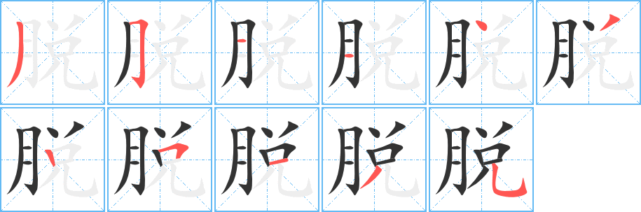脱的笔顺写法