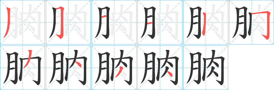 朒的笔顺写法