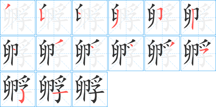 孵的笔顺写法