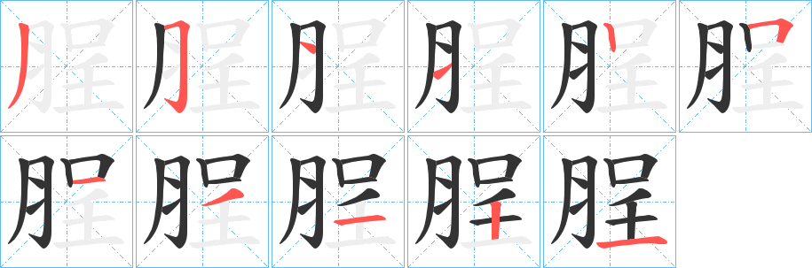脭的笔顺写法