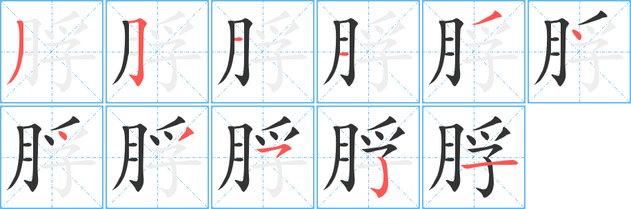 脬的笔顺写法