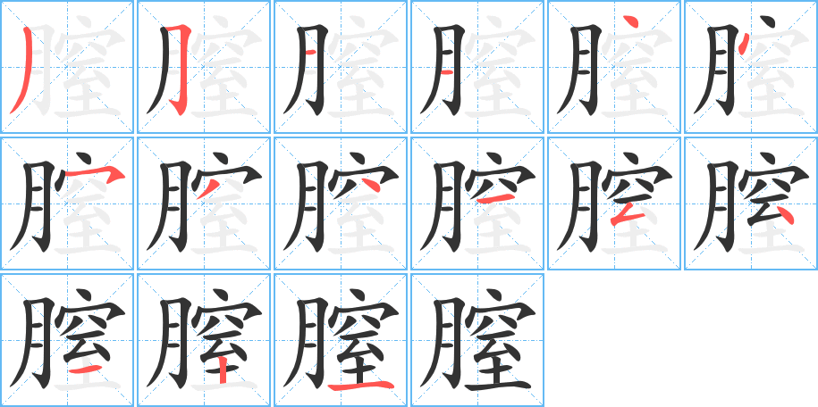 膣的笔顺写法