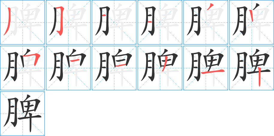 脾的笔顺写法