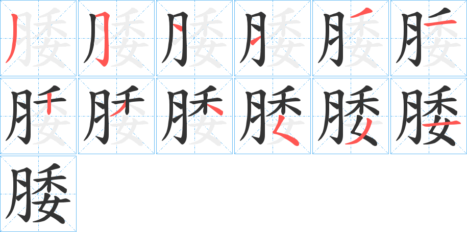 腇的笔顺写法