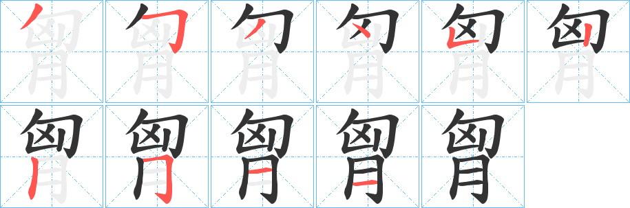 胷的笔顺写法