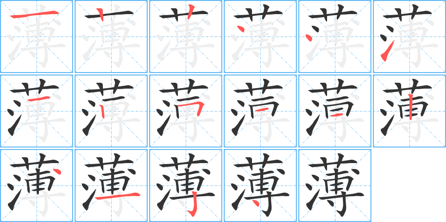 薄的笔顺写法