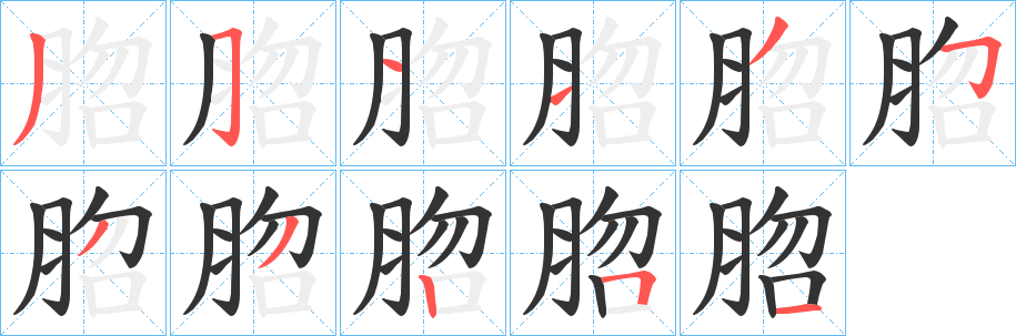 脗的笔顺写法
