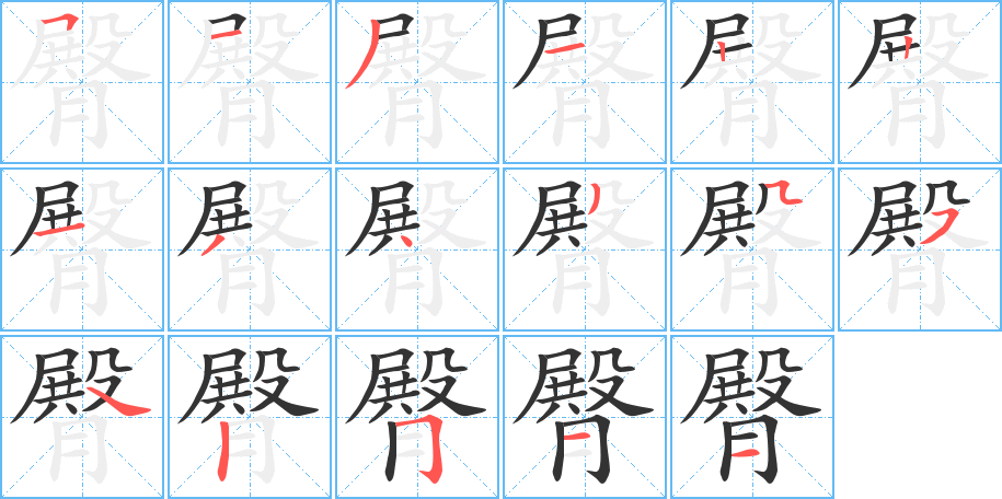 臀的笔顺写法