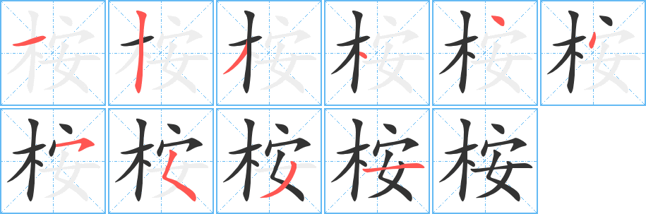 桉的笔顺写法