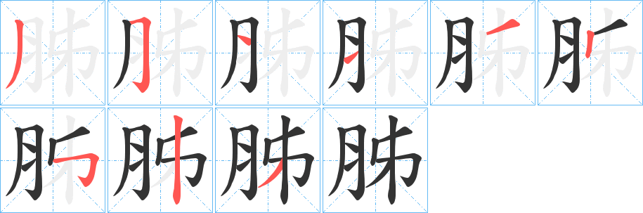 胏的笔顺写法