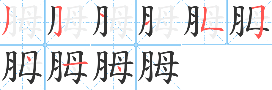 胟的笔顺写法