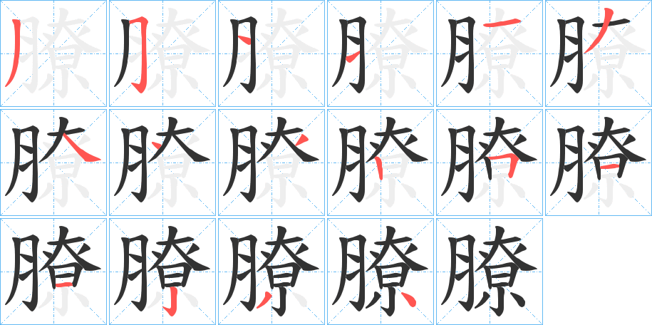 膫的笔顺写法