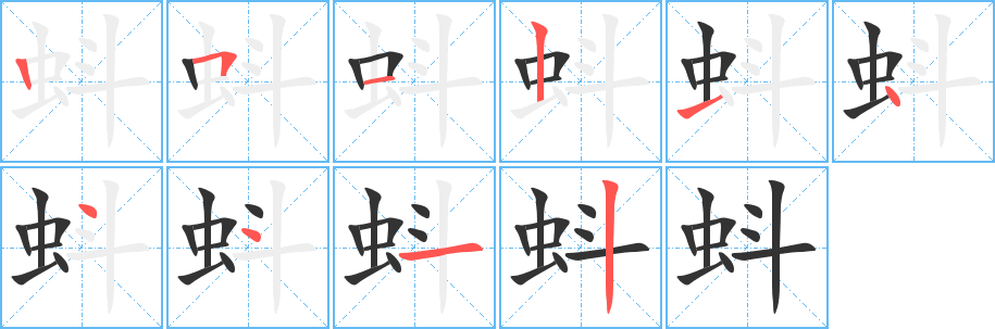 蚪的笔顺写法