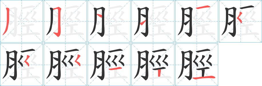 脛的笔顺写法