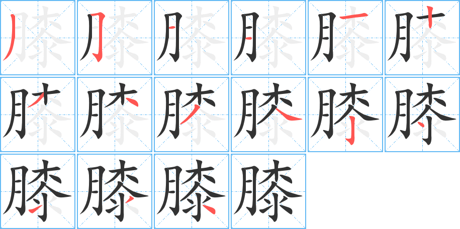 膝的笔顺写法