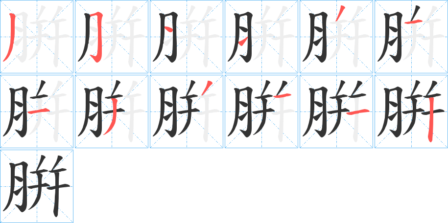 腁的笔顺写法