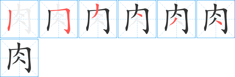 肉的笔顺写法