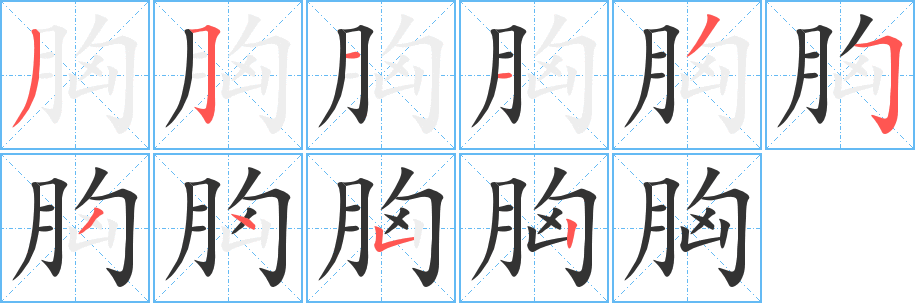胸的笔顺写法