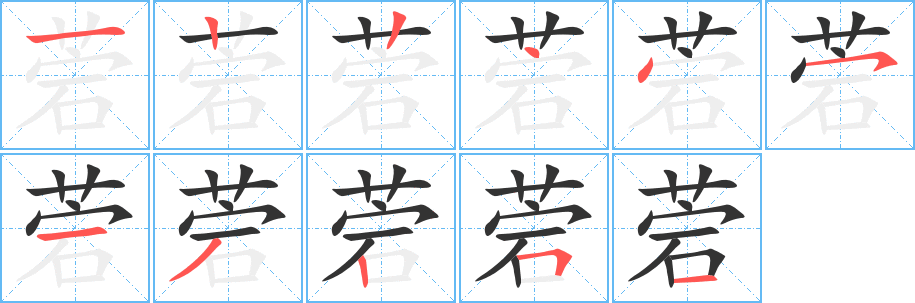 菪的笔顺写法