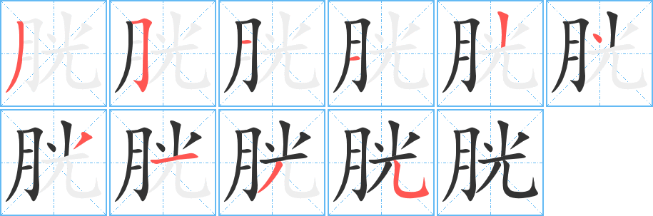 胱的笔顺写法