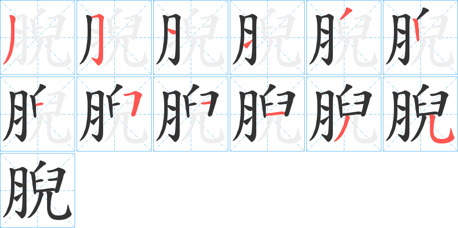 腉的笔顺写法
