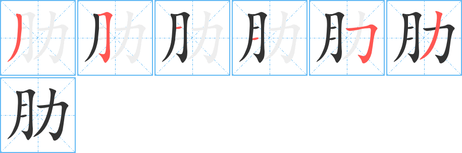 肋的笔顺写法