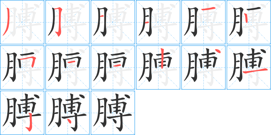 膊的笔顺写法