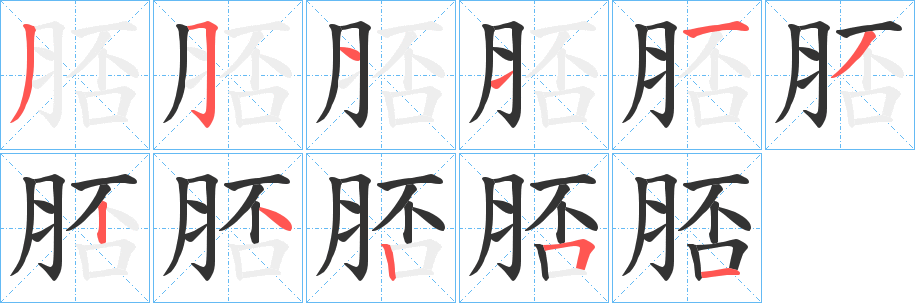 脴的笔顺写法