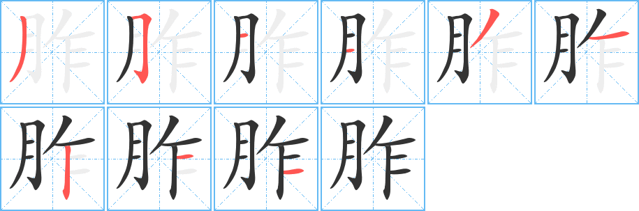 胙的笔顺写法