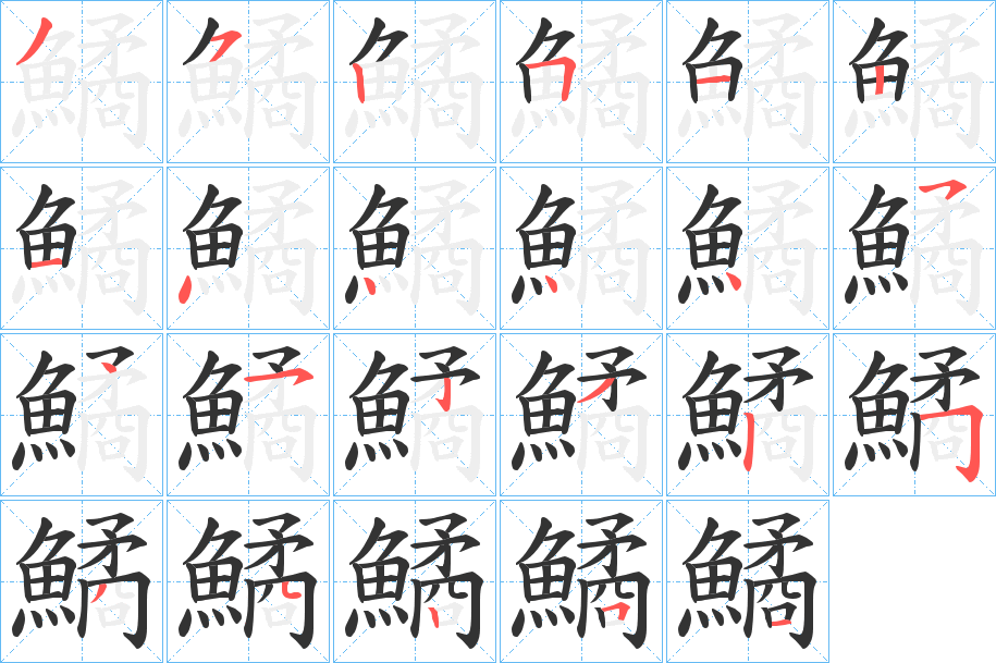 鱊的笔顺写法